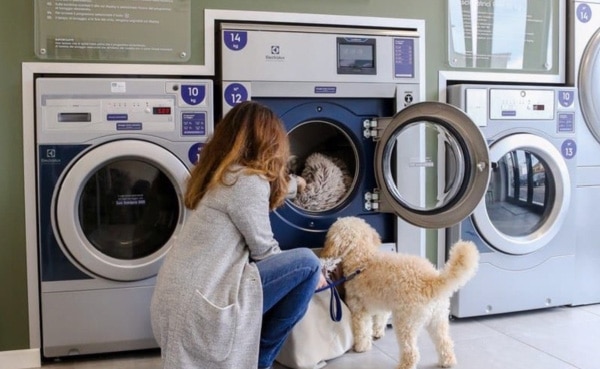 woman loading clothes into washing machine